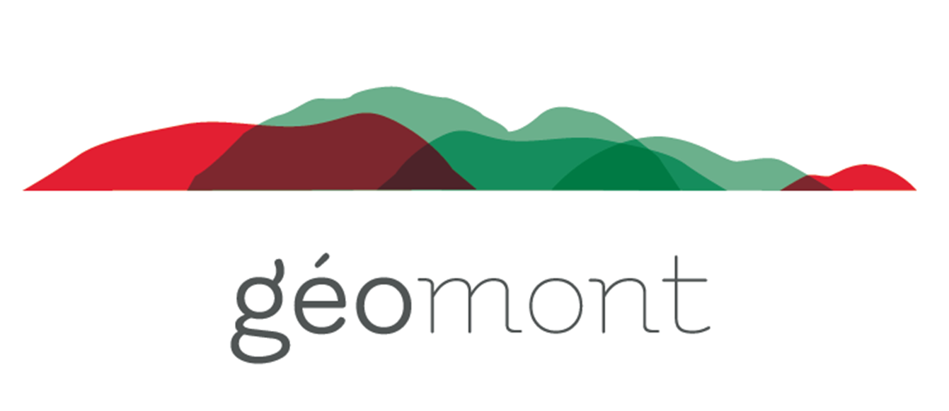 Logo transparent