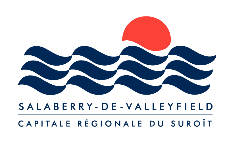 nouveau logo 2018 SDV couleur